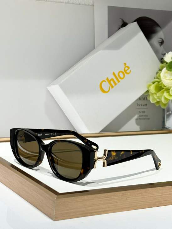 Picture of Chloe Sunglasses _SKUfw71630374fw